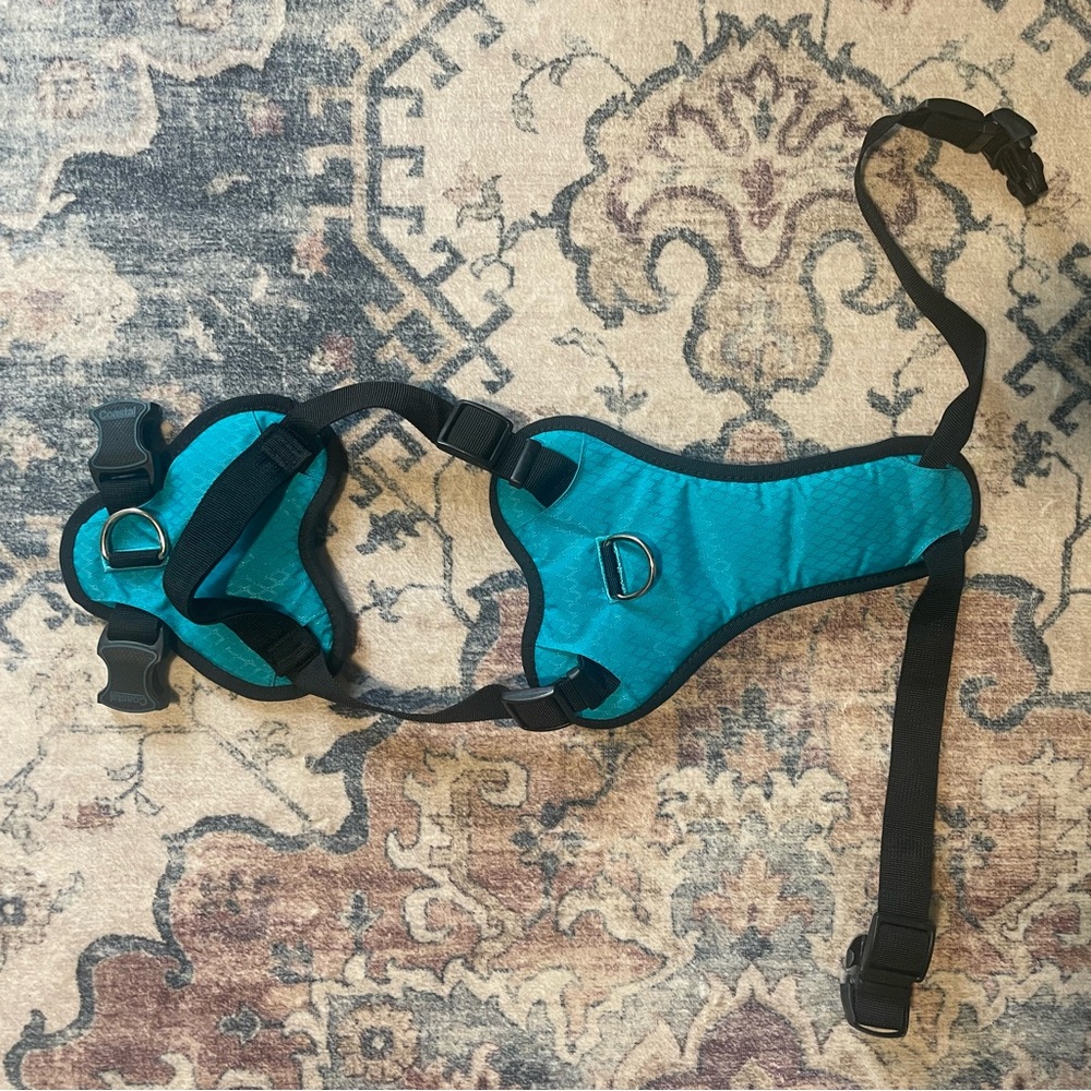 Teal and Black Dog Harness